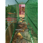 Climbing Net Supplier - Customized Rainbow Handwoven Rope Course