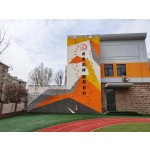 Wall Climbing Supplier - Wholesale Kids Adults Fun Wall Mounted