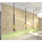 Gym Equipment Factory - Customizable Indoor Outdoor Kids Gym