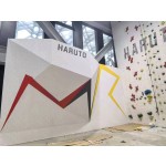 Wall Climbing Supplier - Wholesale Kids Adults Fun Wall Mounted