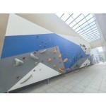 Climbing Wall Factory - Easy Installation Rock Climbing Wall