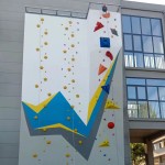 Wall Climbing Supplier - Wholesale Kids Adults Fun Wall Mounted