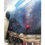 Wall Climbing Supplier - Wholesale Kids Adults Fun Wall Mounted