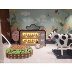 Indoor Playground Set Manufacturer - Children's Playground Equipment