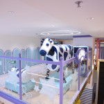 Soft Play Equipment Supplier - Ranch Milker Role-Play Foam Ball Pool