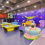 Indoor Playground Equipment Supplier - Customized One-stop Themed Solutions