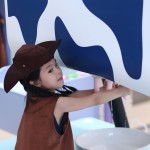 Soft Play Equipment Supplier - Ranch Milker Role-Play Foam Ball Pool