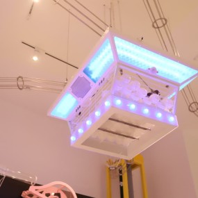 Soft Play Sets Manufacturer - Professional Science Exhibit Inspired