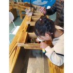 Outdoor Playground Equipment Manufacturer - Commercial Panning Game Fun