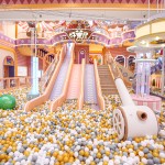 Indoor Playground Supplier - Customization Design Big Slides Equipment