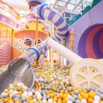 Indoor Playground Supplier - Customization Design Big Slides Equipment