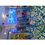 Snow Ball Fall Supplier - 6 Pillars Fun Intelligent Improvement