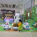 Home Play Equipment Supplier - Kids Teenagers Children's Playground