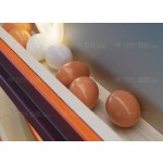 Hen Laying Eggs Game Manufacturer - Profitable Educational Indoor Play