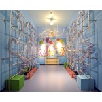 Scarf Shooter Game Manufacturer - High Quality Interactive Exhibits