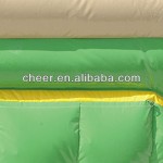 Inflatable Pool Supplier - Inflatable Dolphin Pool Airtight PVC