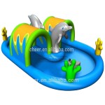 Inflatable Pool Supplier - Inflatable Dolphin Pool Airtight PVC