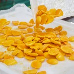 IQF Most Popular High Quality Wholesale Price Mango Chunks Bulks Frozen Fruit Mango Pulp Puree