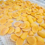 IQF Most Popular High Quality Wholesale Price Mango Chunks Bulks Frozen Fruit Mango Pulp Puree