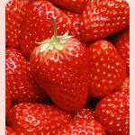 Wholesale 2.5KG Strawberry Jam Concentrated Fruit Juice Jam for Boba Bubble Tea Shops Only