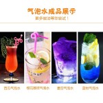 Taiwan Halal 950ml FRUIT Bake Sugar Flavor Smoothie Syrup Syrup for Coffee Drinks Bubble Tea Ingredients