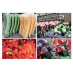 Indoor Playground Equipment Manufacturer - Children's Outdoor Metal Plastic