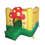Inflatable Bouncer Factory - Indoor Outdoor PVC Castle Bouncy House