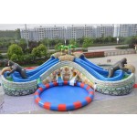 Water Slide Supplier - Factory Direct Inflatable Water Slide