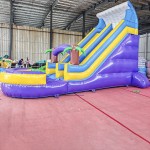 Inflatable Slide Supplier - Colorful PVC Bouncy Slides Kids Play