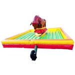 Bull Ride Manufacturer - Hot Sale Factory Price Bull Rides