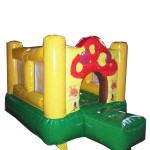 Inflatable Bouncer Factory - Indoor Outdoor PVC Castle Bouncy House