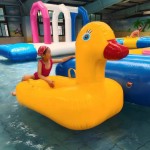Floating Toy Factory - Factory Price PVC Floating Toys Duck