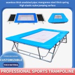 Professional Trampoline Supplier - Factory Wholesale Professional Trampoline
