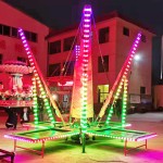 Bungee Trampoline Supplier - Factory Price 4-Person Bungee Jumping