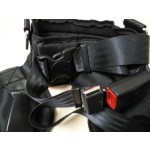 Safety Harness Manufacturer - Hot Sale Bungee Trampoline Harness