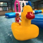 Floating Toy Factory - Factory Price PVC Floating Toys Duck