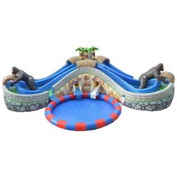 Water Slide Supplier - Factory Direct Inflatable Water Slide