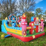 Inflatable Castle Manufacturer - Factory Direct PVC Castle Bouncy Slide