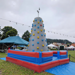 Inflatable Games Manufacturer - Outdoor Popular Rock Climbing Customized