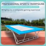 Gymnastics Trampoline Supplier - China Manufacturer Competitive Black