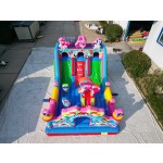 Inflatable Bouncy Castle Supplier - 2025 Popular Project Large Children