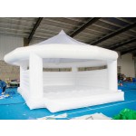Modern Bouncy Castle Factory - Large Inflatable Combo Wedding Party