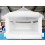 Modern Bouncy Castle Factory - Large Inflatable Combo Wedding Party
