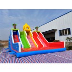 Inflatable Trampoline Manufacturer - Water Children's Slide Home Small