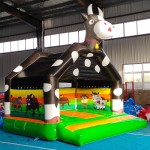 Inflatable Trampoline Factory - Jumping Castle Slide Combination