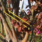 Bungee Cords Supplier - Premium Hooks 24 Inch Elastic Cord