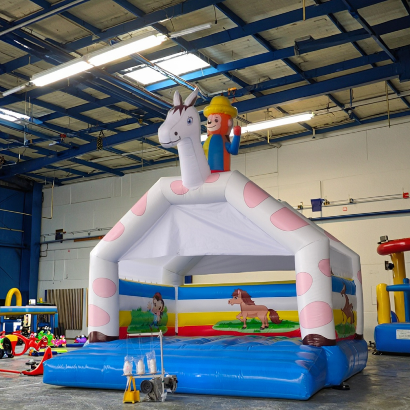 Inflatable Trampoline Factory - Jumping Castle Slide Combination