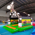 Inflatable Trampoline Factory - Jumping Castle Slide Combination