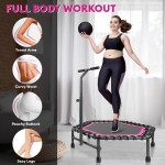 Fitness Trampoline Supplier - 42-inch Hot Sell Leisure Hexagonal