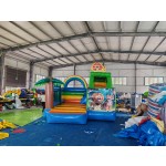 Inflatable Bouncer Manufacturer - Funny Rainbow Lion-Themed Slide
